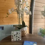 Apartment Seaview Glamping Inishowen *